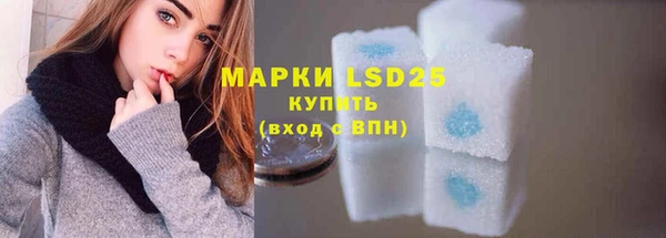 индика Алексин