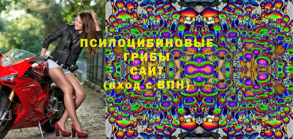 молекула духа Абинск