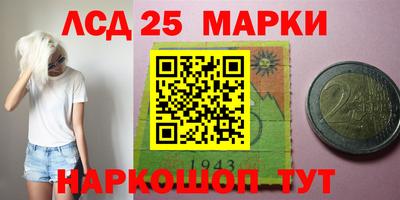 гидропоника Туймазы