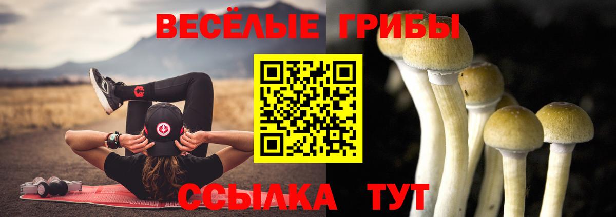 Псилоцибиновые грибы GOLDEN TEACHER  Вход с VPN  Моршанск 