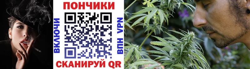 Конопля индика  Моршанск 